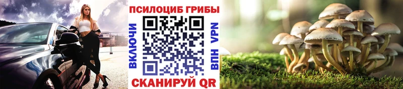Галлюциногенные грибы мухоморы  Саров 